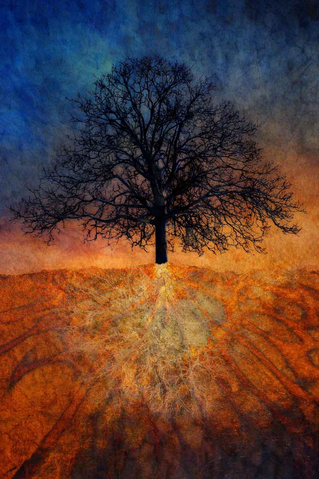 Fine Art Canvas Giclée | Of This Earth | Metallic canvas print merging branching forms, root systems, and volcanic strata into one layered terrain 