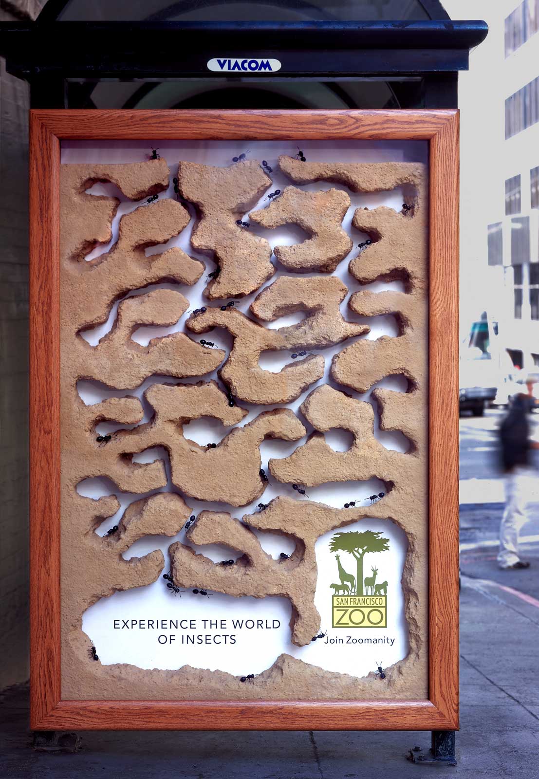  San Francisco Zoo | Sculpted and cast oversized ant farms with custom oversized ants used as bus shelter advertising | 1 of 20, built and installed
 