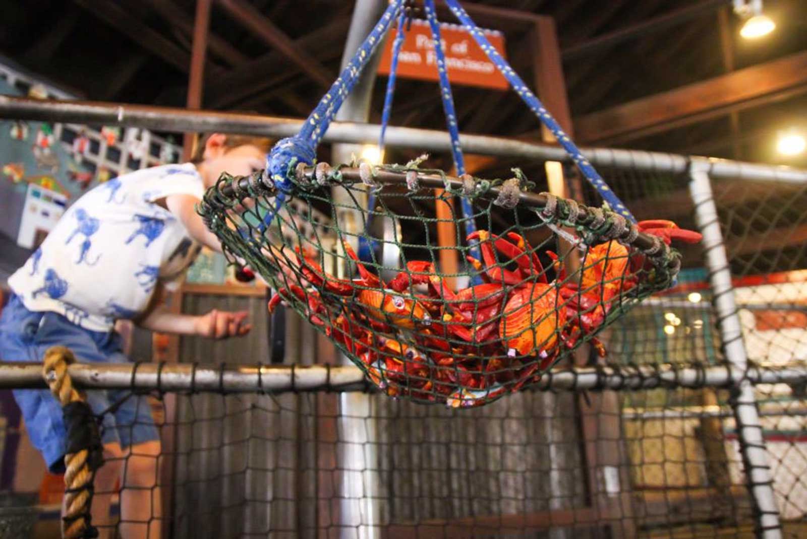  Crabbing Net | Bay Area Discovery Museum | Suspended net structure engineered for interactive public use 
