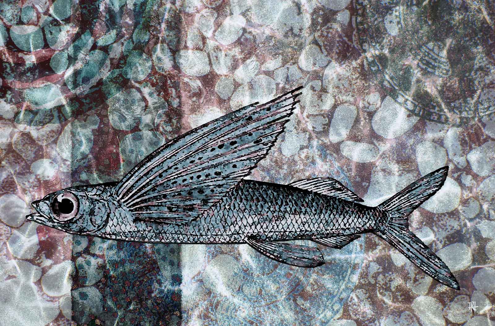  Illustration created as part of an environmental image series. 