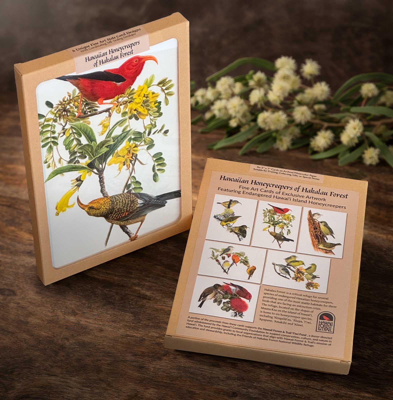  Earth friendly packaging for fine art card series featuring endangered birds 