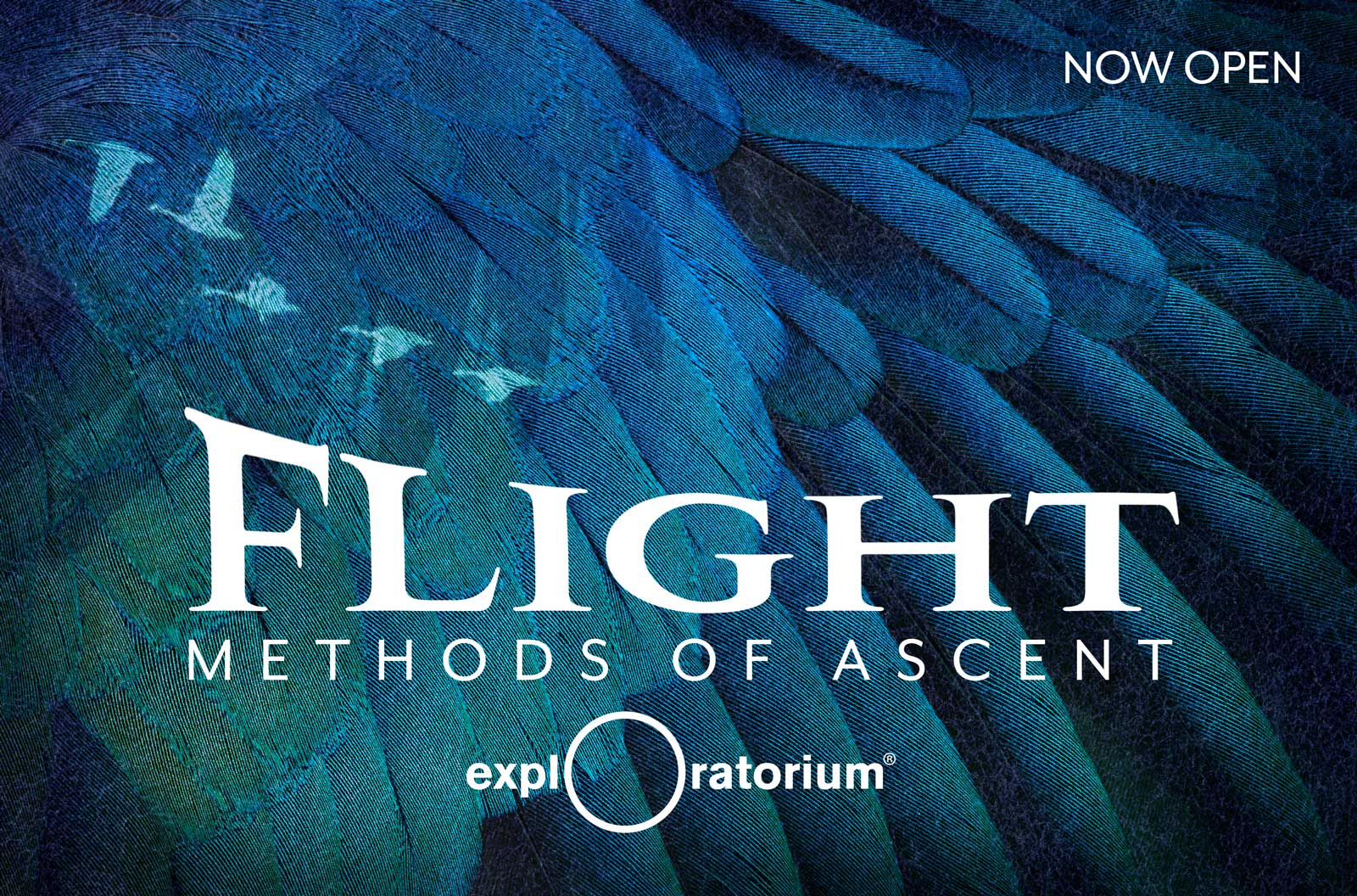  Poster design for wide format printed exhibit graphics 