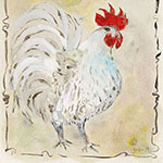 chicken illustration