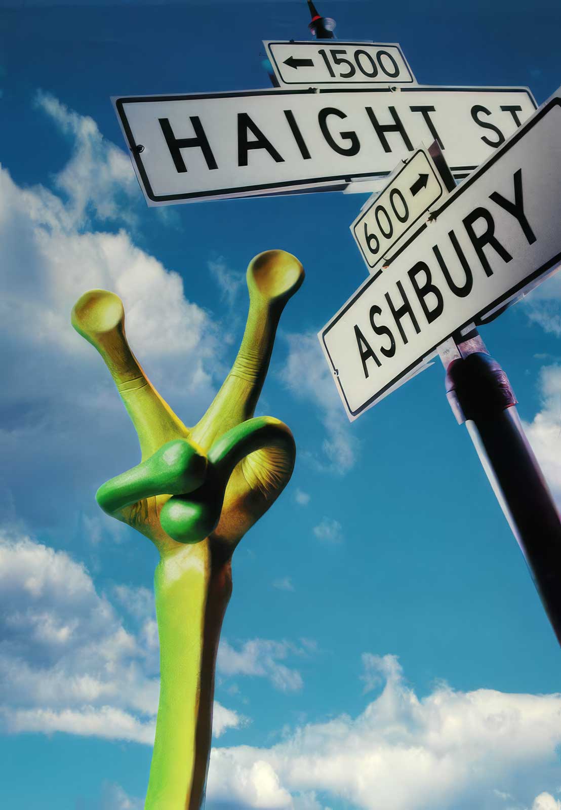  Frog Hands | SF Exploratorium | Posable frogs with armature cores for advertising photography cast, in foam latex for repeat performance 